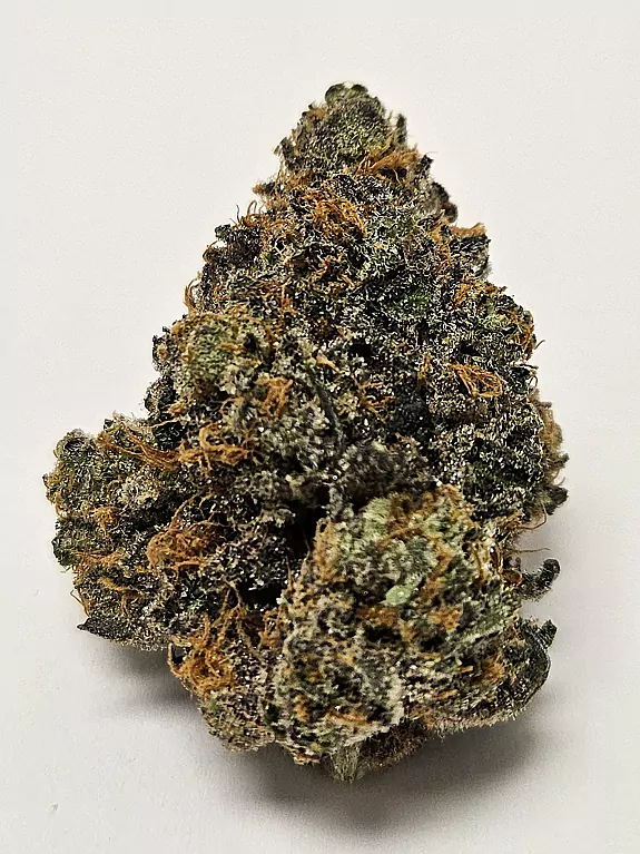 Rainbow Sherbet 11